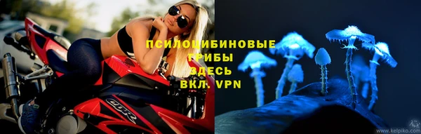 хмурый Нягань