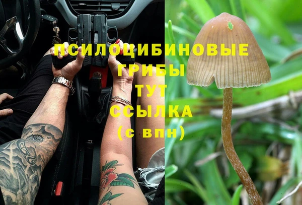 метадон Беломорск