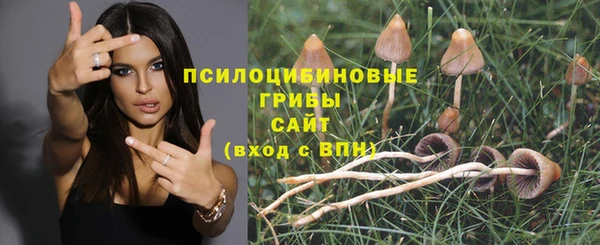 тгк Богородицк