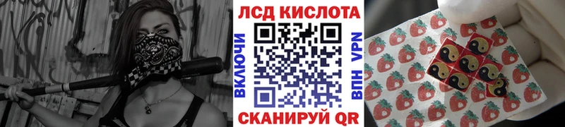 где купить наркоту  Богданович  Марки NBOMe 1,5мг 