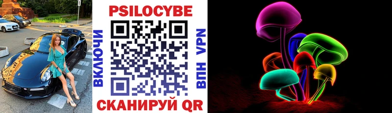 Галлюциногенные грибы Psilocybine cubensis  Богданович 