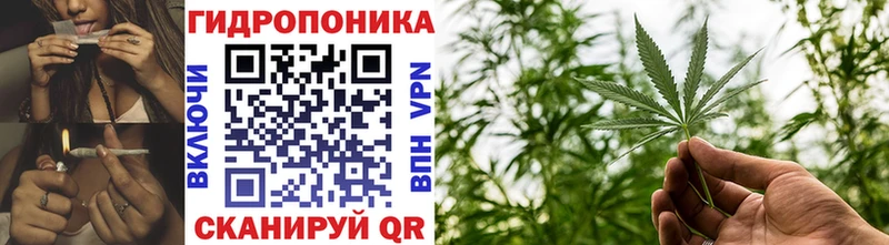 OMG   Богданович  МАРИХУАНА план 